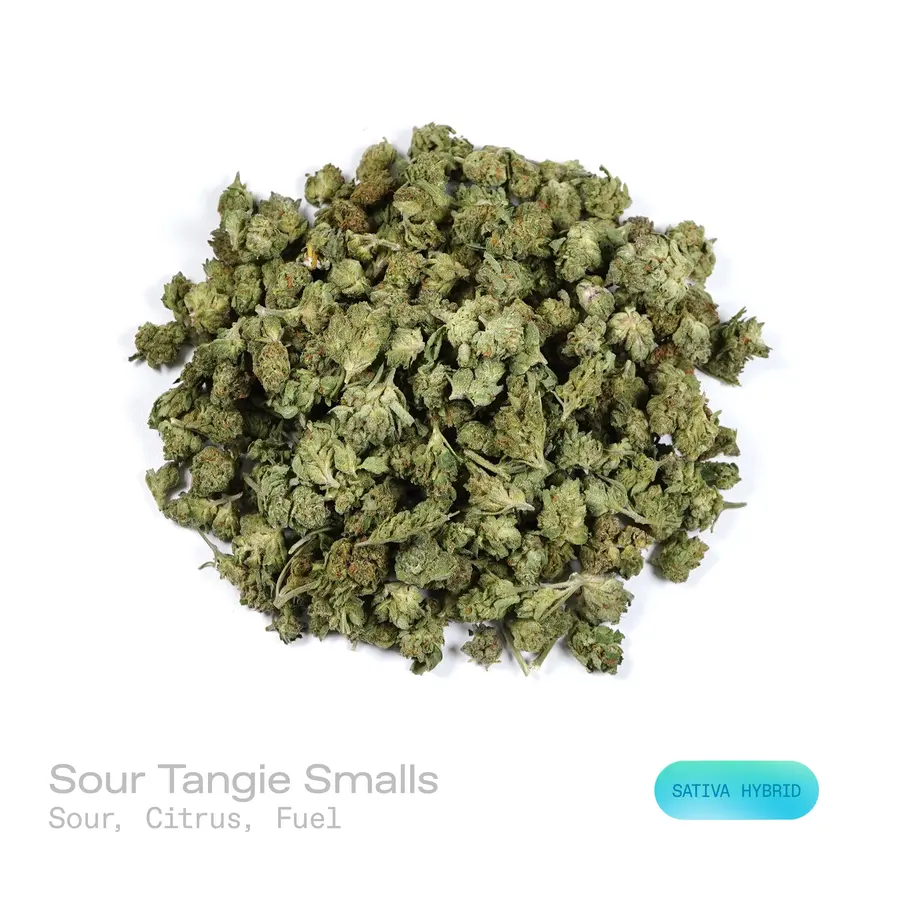 Sour Tangie THCa Flower (Indoor) (Sativa Hybrid)