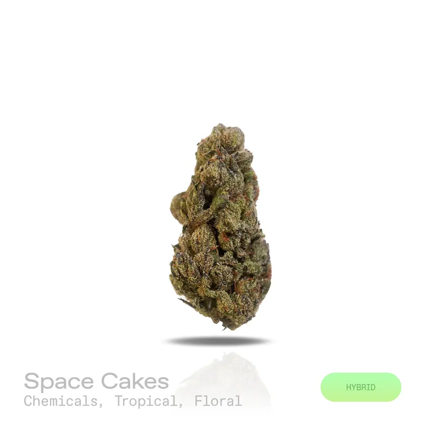 Space Cakes THCa Flower (Indoor) (Hybrid)