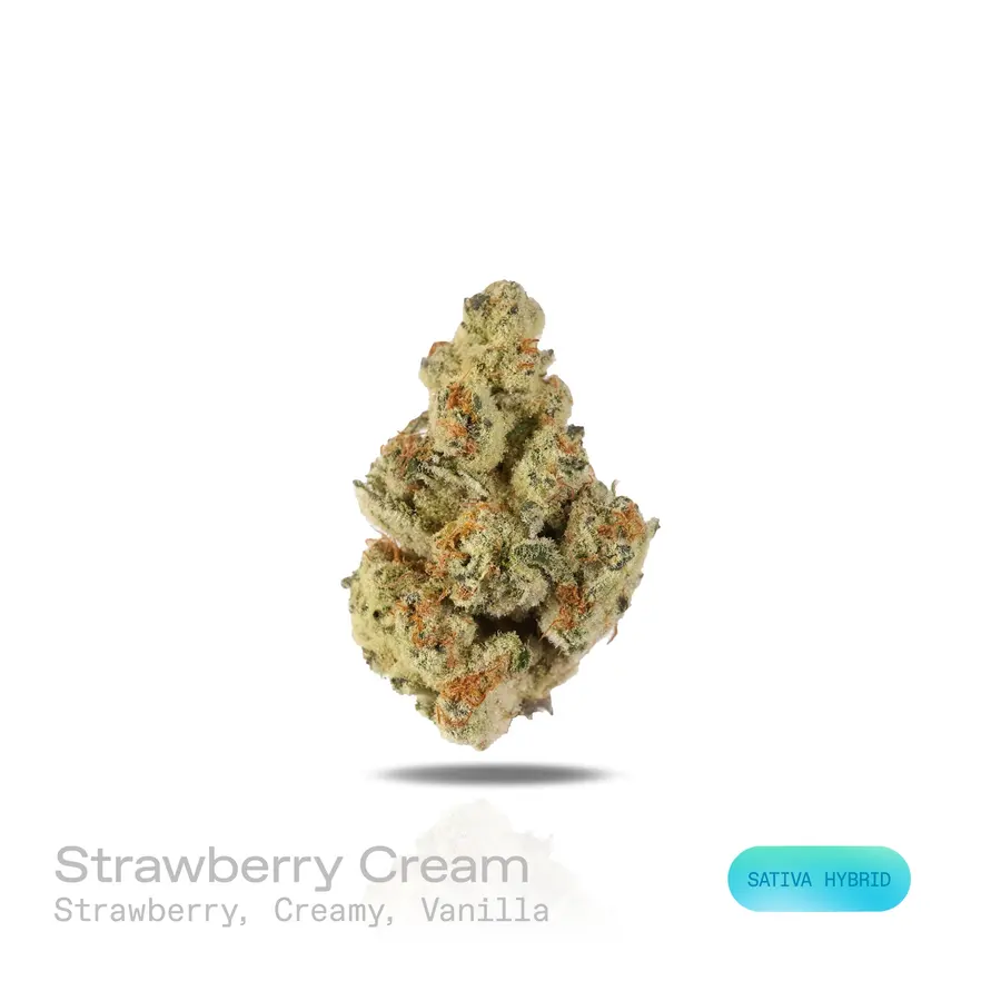Strawberry Cream THCa Flower (Exotic) (Sativa Hybrid)