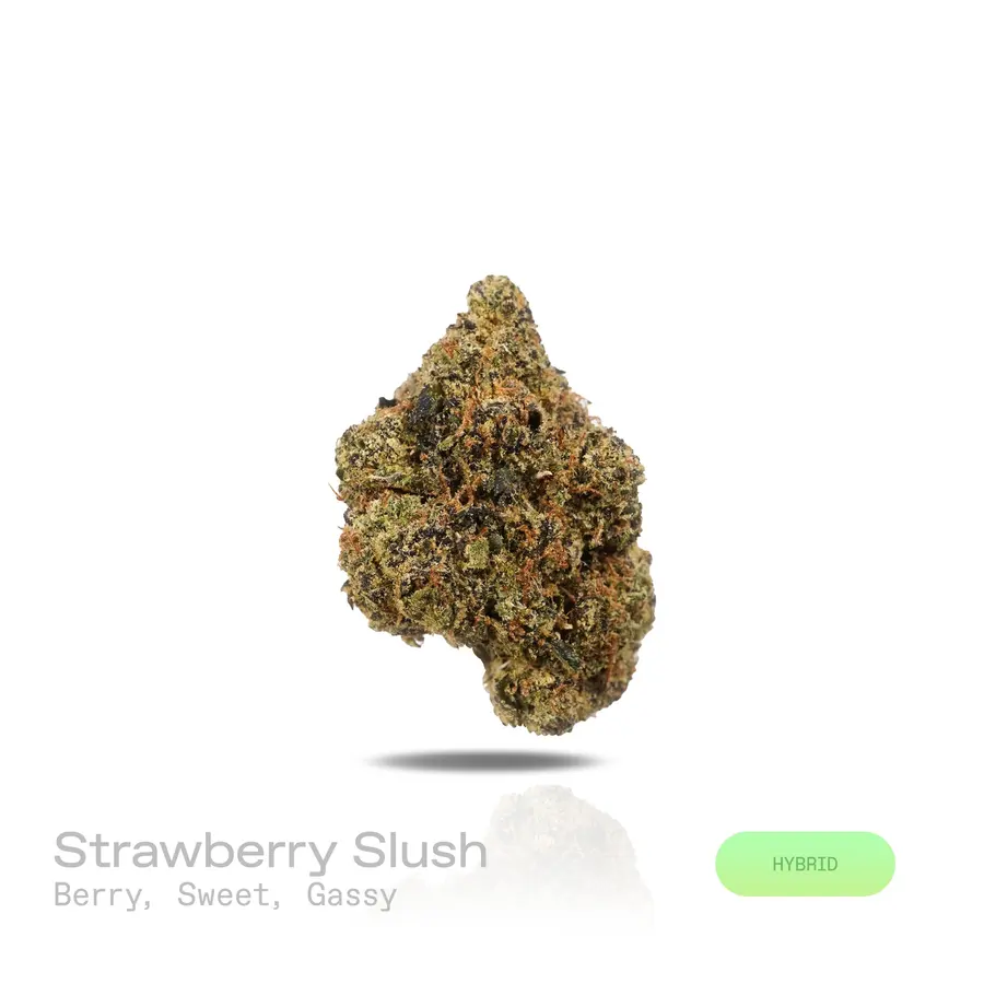 Strawberry Slush THCa Flower (Premium Indoor) (Hybrid)