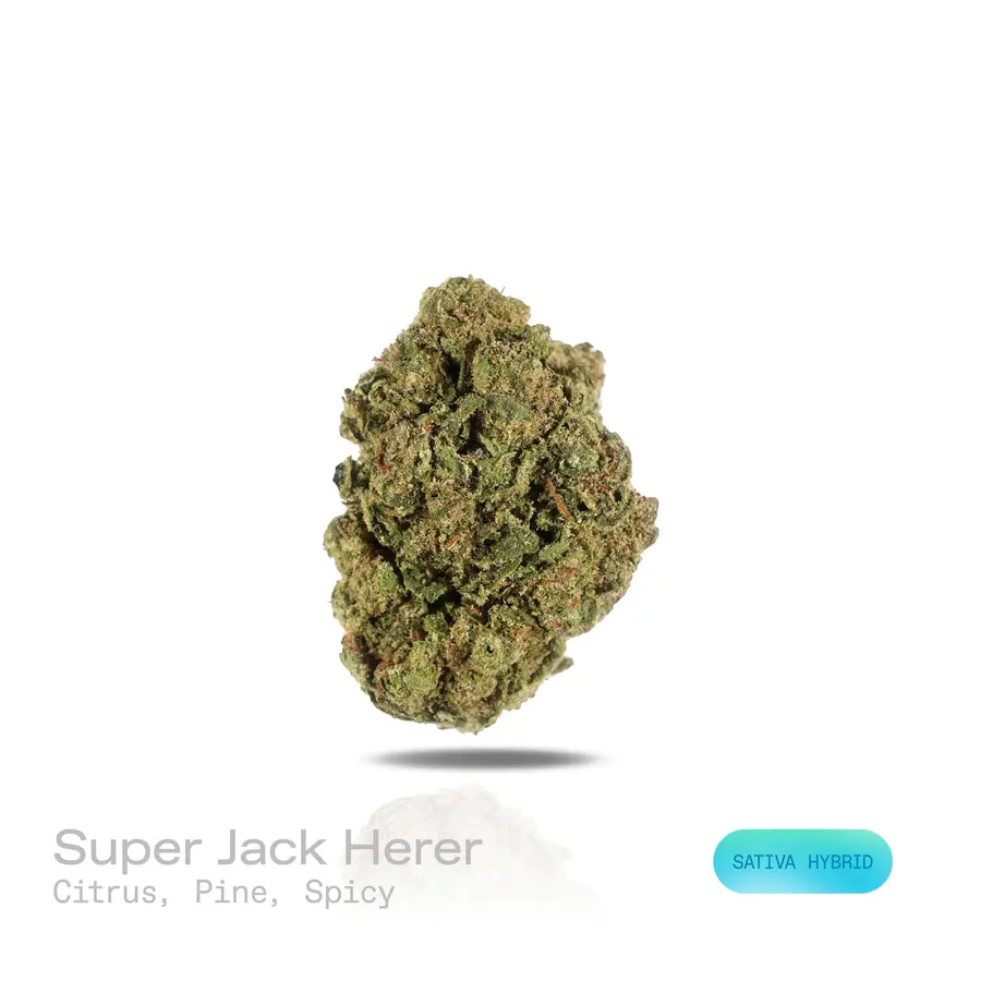 Super Jack Herer THCa Flower (Indoor) (Sativa Hybrid)