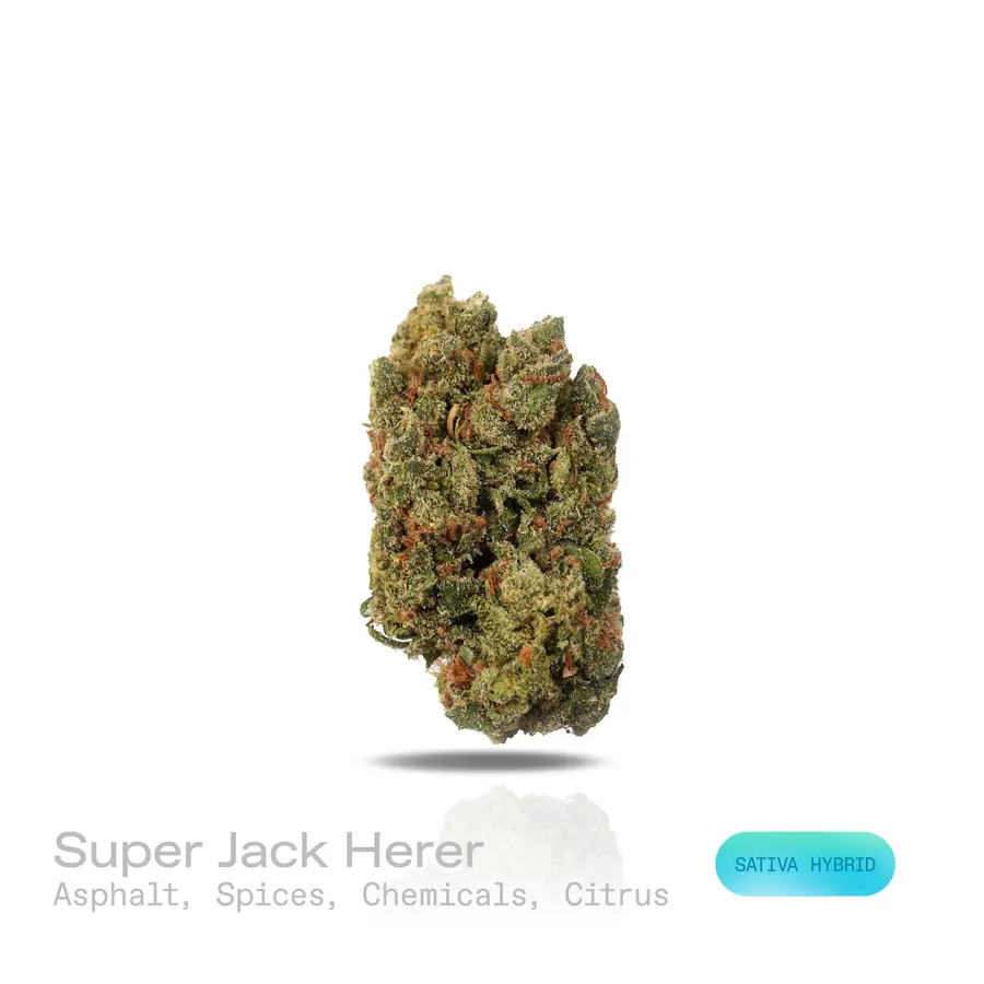Super Jack Herer THCa Flower (Premium Indoor) (Sativa Hybrid)