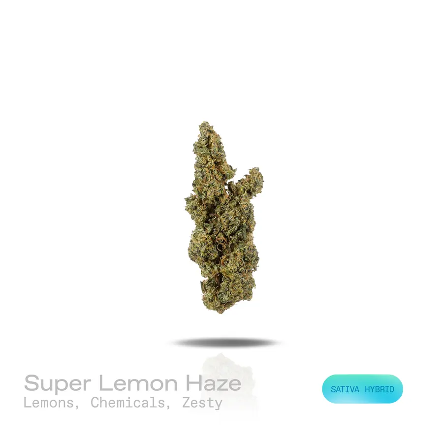 Super Lemon Haze THCa Flower (Indoor) (Sativa Hybrid)
