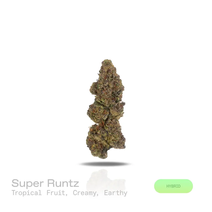 Super Runtz THCa Flower (Indoor) (Hybrid)