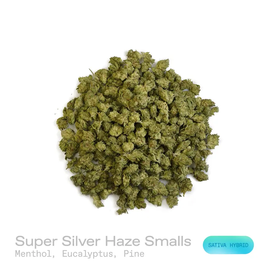 Super Silver Haze THCa Flower (Indoor) (Sativa Hybrid)