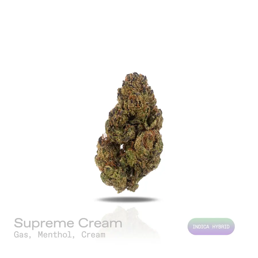 Supreme Cream THCa Flower (Indoor) (Indica Hybrid)