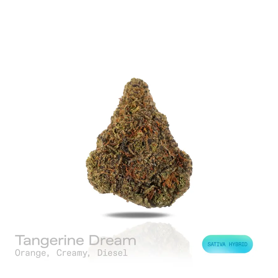 Tangerine Dream THCa Flower (Indoor) (Sativa Hybrid)