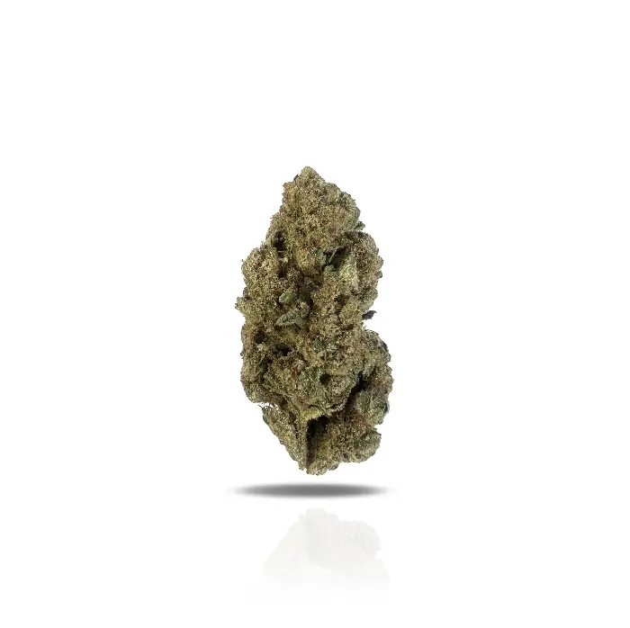 Tangie THCa Flower (Indoor) (Sativa Hybrid)