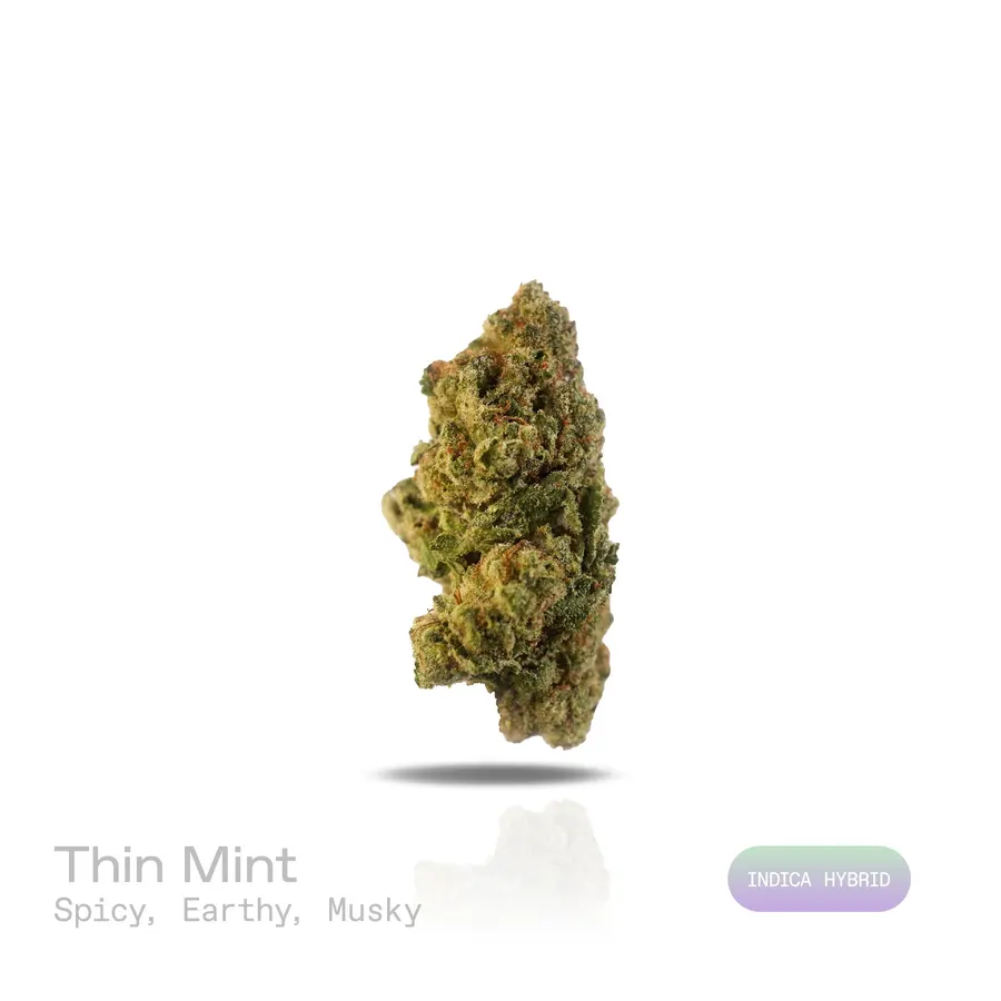 Thin Mint THCa Flower (Indoor) (Indica Hybrid)