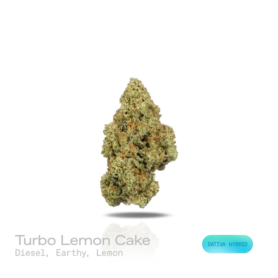 Turbo Lemon Cake THCa Flower (Indoor) (Sativa Hybrid)