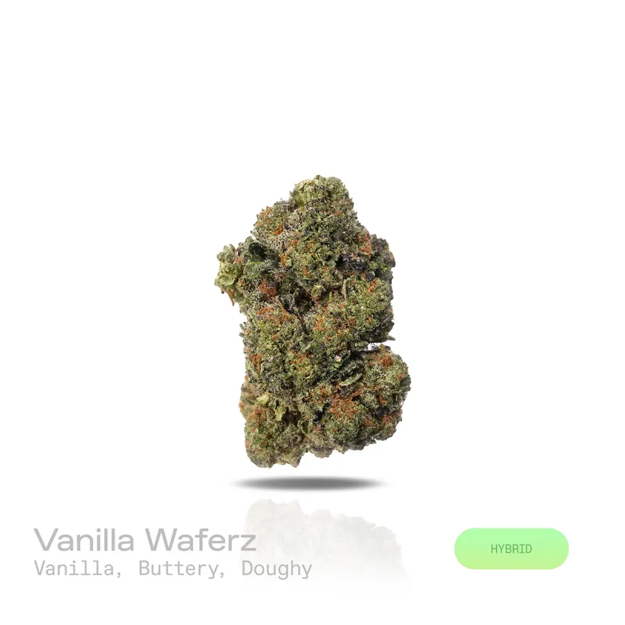 Vanilla Waferz THCa Flower (Indoor) (Hybrid)