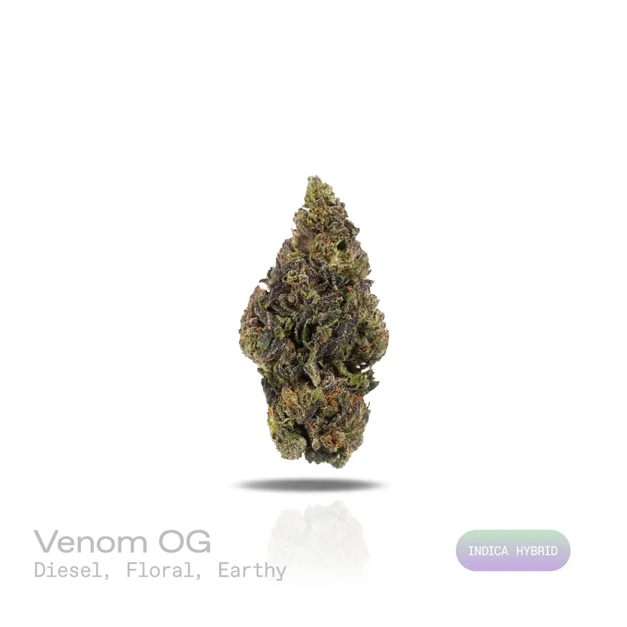 Venom OG THCa Flower (Indoor) (Indica Hybrid)