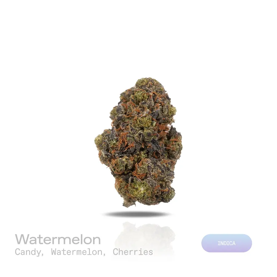 Watermelon THCa Flower (Premium Indoor) (Indica Hybrid)