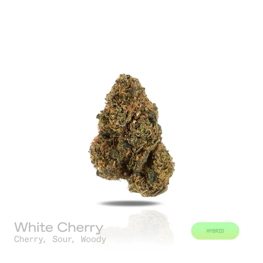 White Cherry THCa Flower (Premium Indoor) (Hybrid)