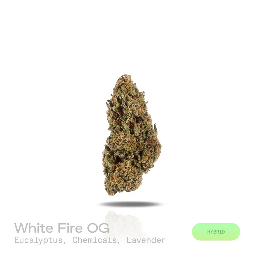 White Fire OG THCa Flower (Indoor) (Hybrid)