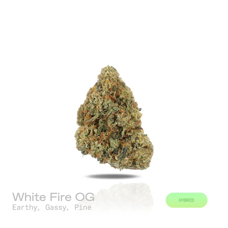 White Fire OG THCa Flower (Premium Indoor) (Hybrid)
