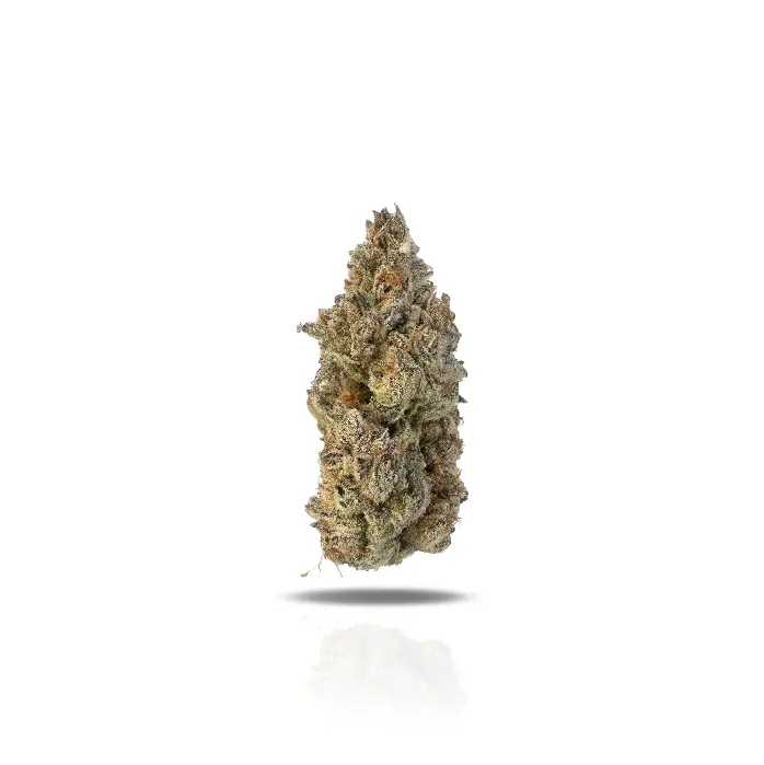 White Lobster THCa Flower (Exotic) (Hybrid)