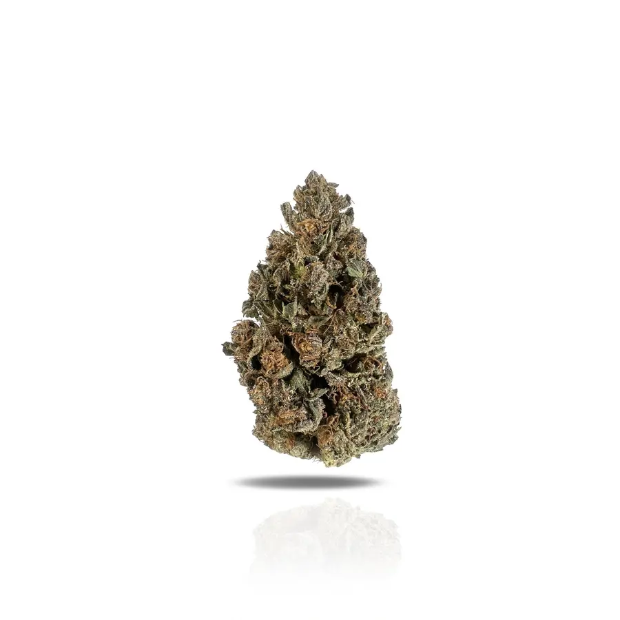 White Lotus THCa Flower (Indoor) (Indica Hybrid)