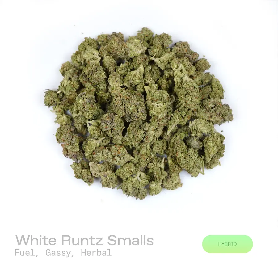 White Runtz THCa Flower (Indoor) (Hybrid)