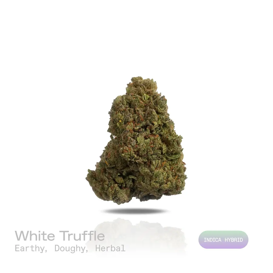White Truffle THCa Flower (Indoor) (Indica Hybrid)