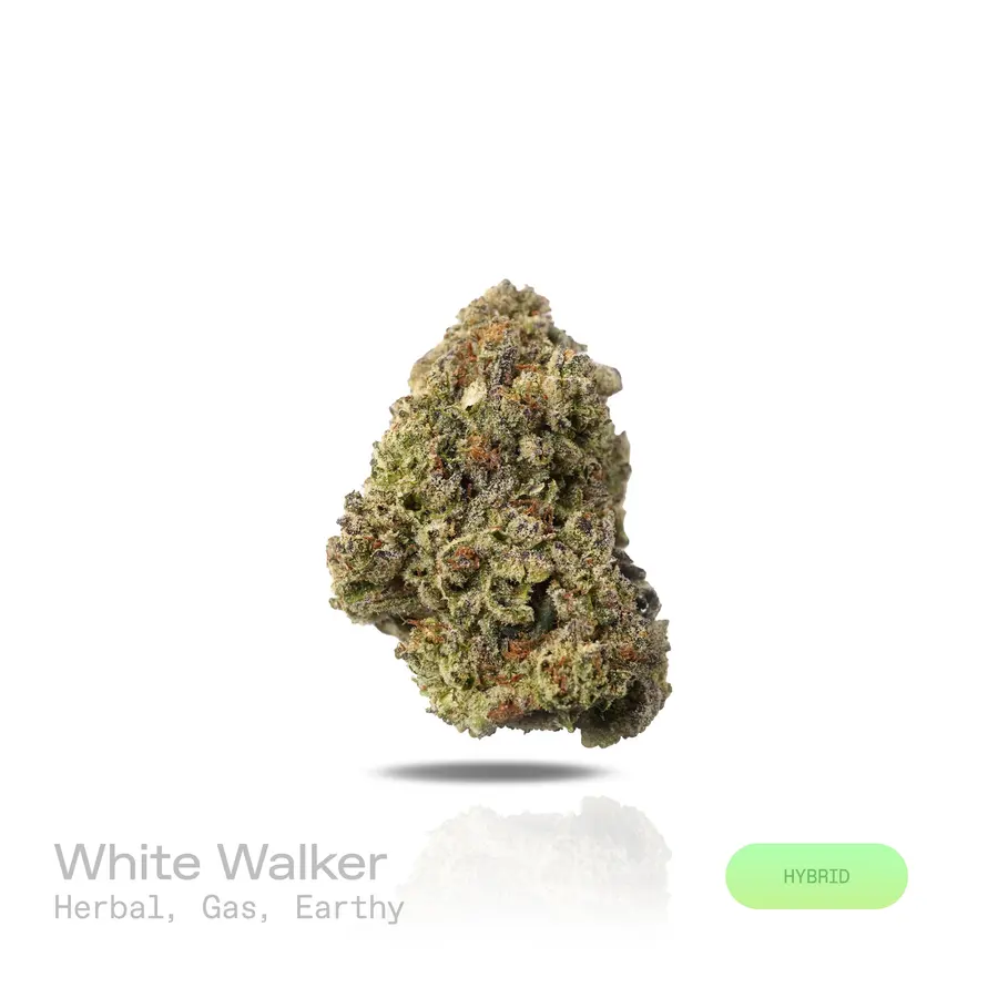 White Walker THCa Flower (Indoor) (Hybrid)