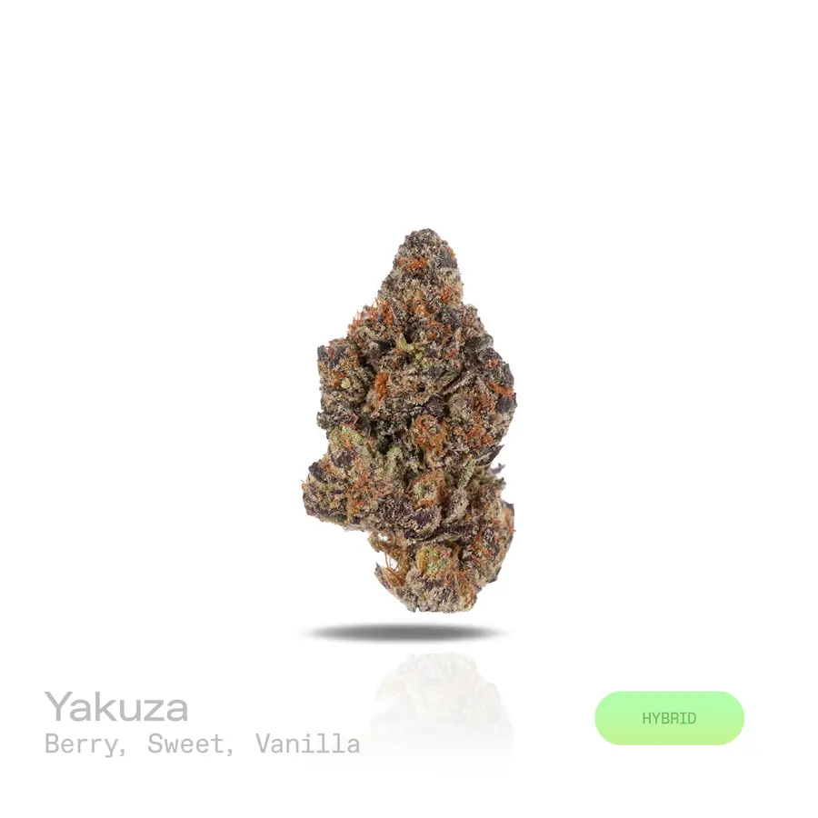 Yakuza THCa Flower (Exotic) (Hybrid)