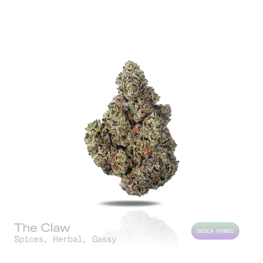 The Claw THCa Flower (Exotic) (Indica Hybrid)