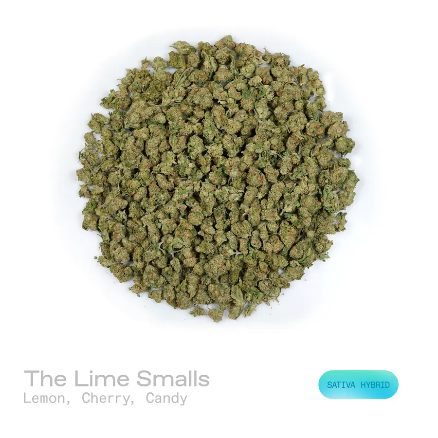 The Lime THCa Flower (Indoor) (Sativa Hybrid)