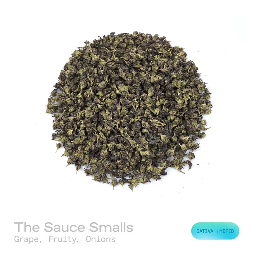 The Sauce THCa Flower (Indoor) (Sativa Hybrid)