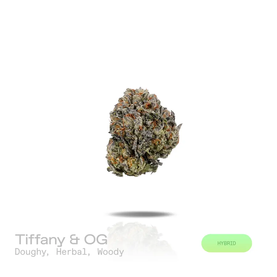 Tiffany & OG THCa Flower (Indoor) (Hybrid)