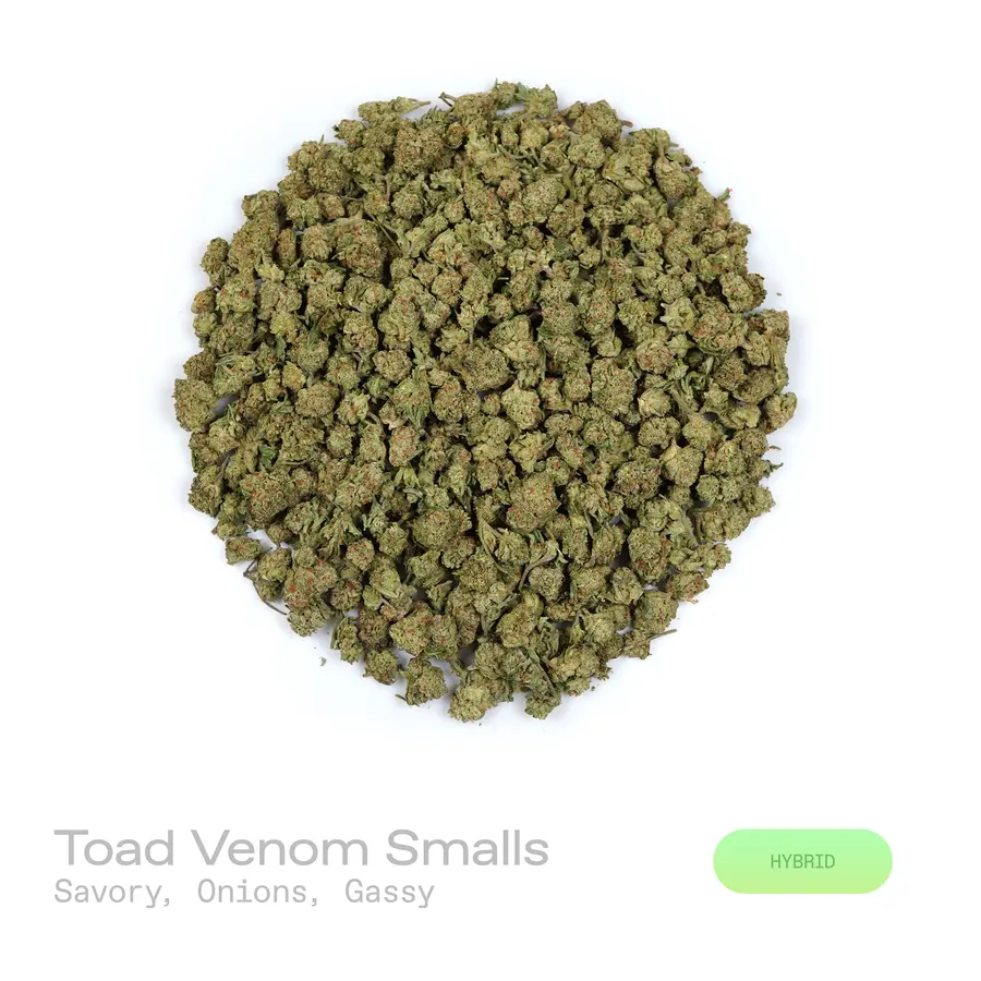 Toad Venom THCa Flower (Indoor) (Hybrid)