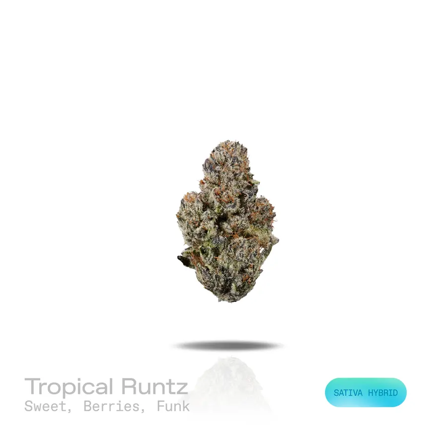 Tropical Runtz THCa Flower (Exotic) (Sativa Hybrid)