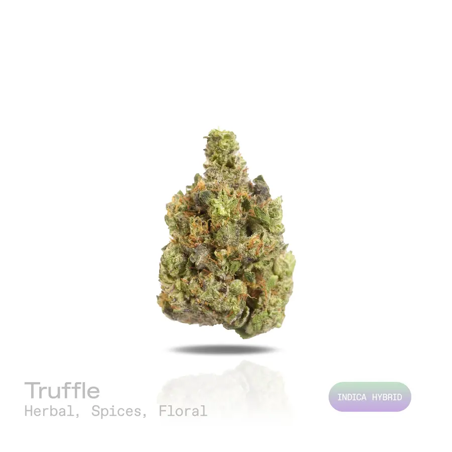 Truffle THCa Flower (Indoor) (Indica Hybrid)