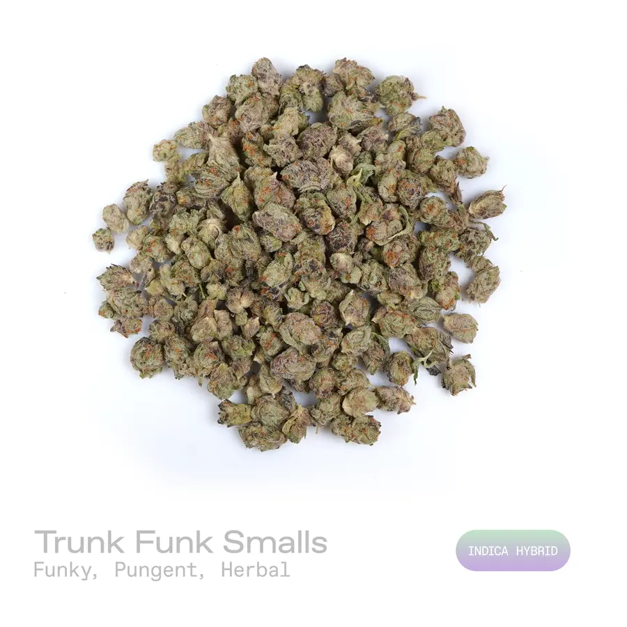 Trunk Funk THCa Flower (Indoor) (Indica Hybrid)