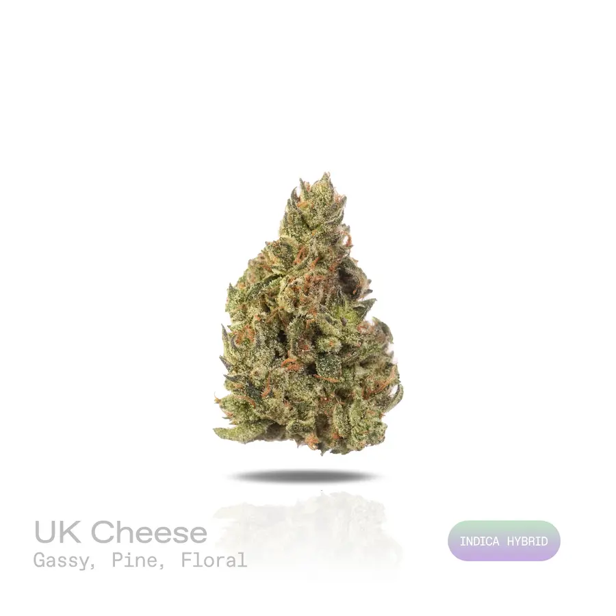 UK Cheese THCa Flower (Exotic) (Indica Hybrid)