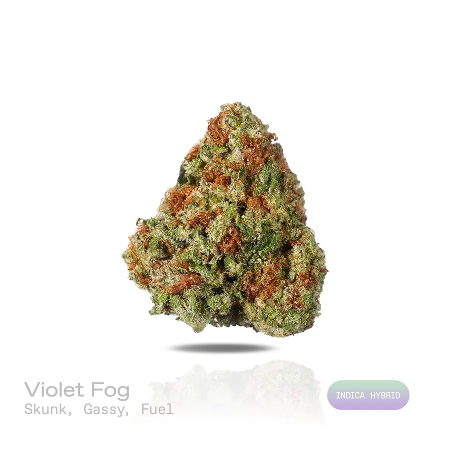 Violet Fog THCa Flower (Indoor) (Indica Hybrid)
