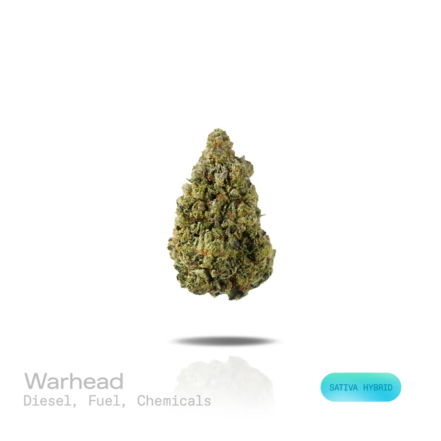 Warhead THCa Flower (Indoor) (Sativa Hybrid)