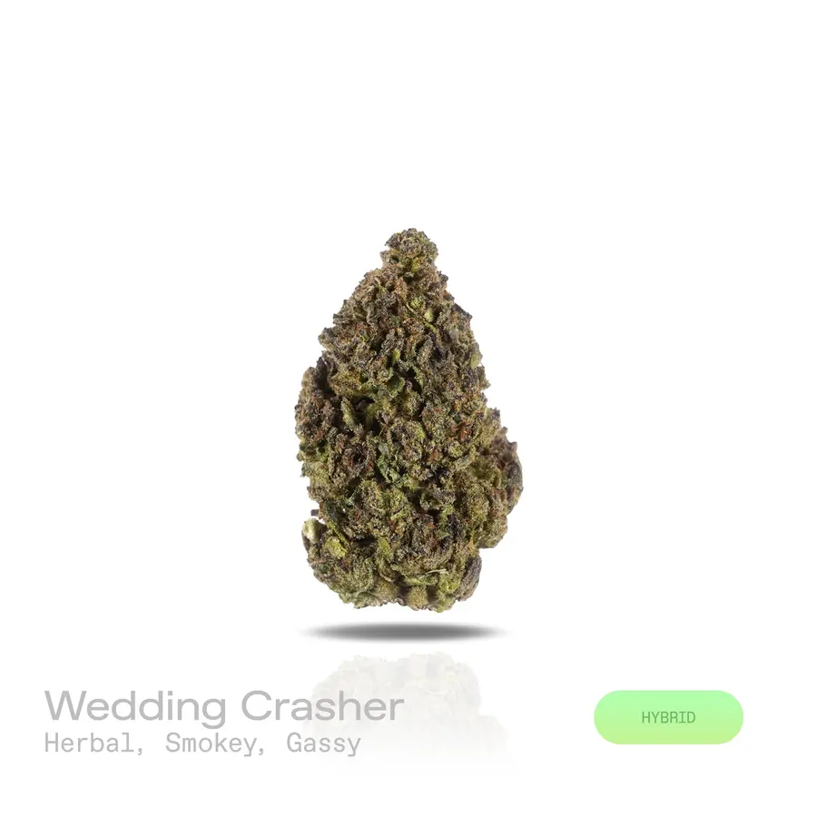 Wedding Crasher THCa Flower (Indoor) (Hybrid)