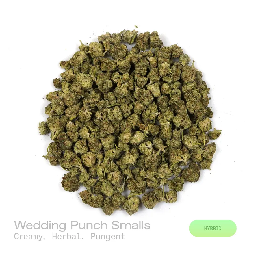 Wedding Punch THCa Flower (Indoor) (Hybrid)