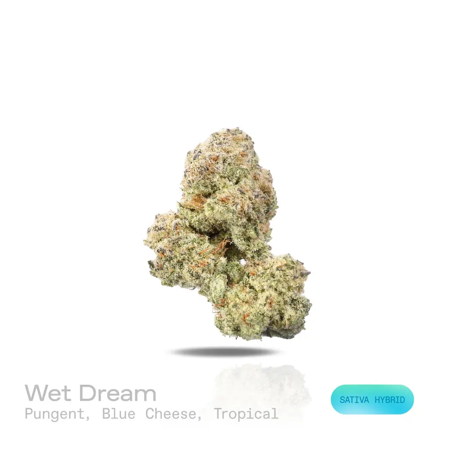 Wet Dream THCa Flower (Premium Indoor) (Sativa Hybrid)