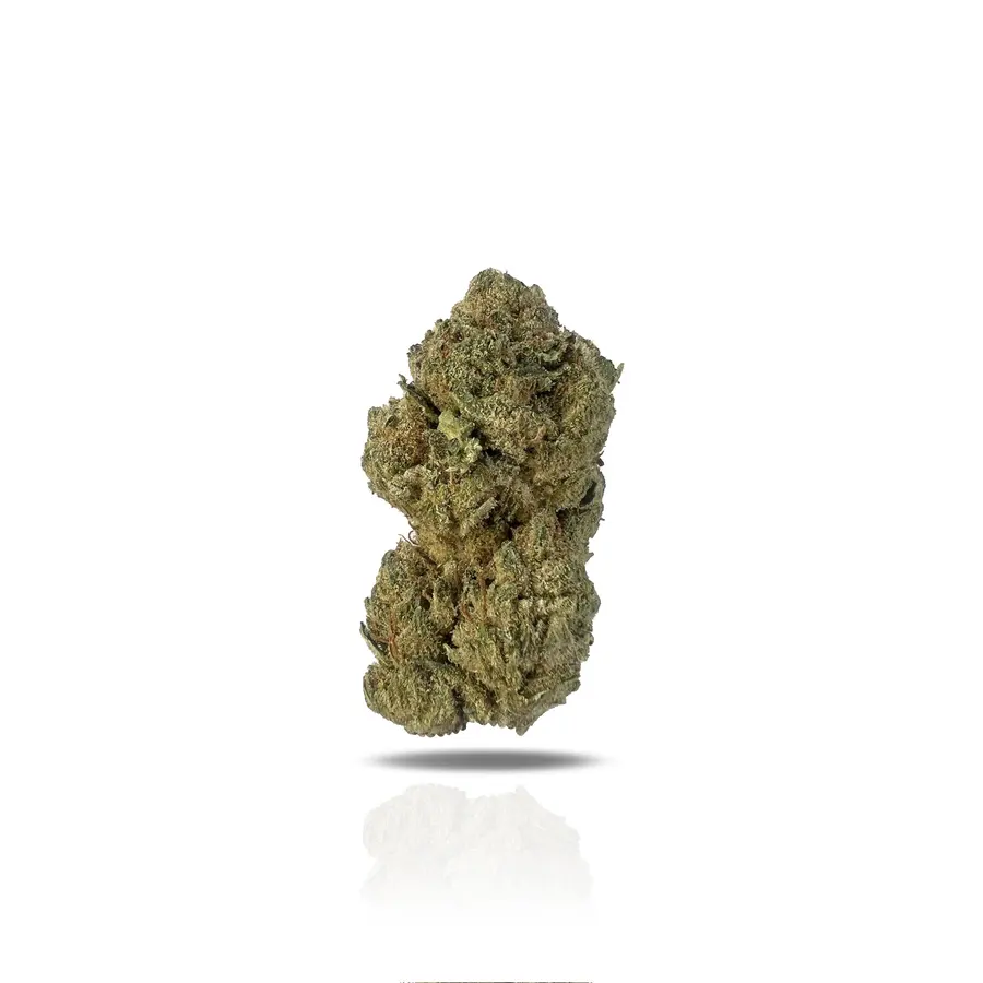 White Lotus THCa Flower (Indoor) (Indica Hybrid)