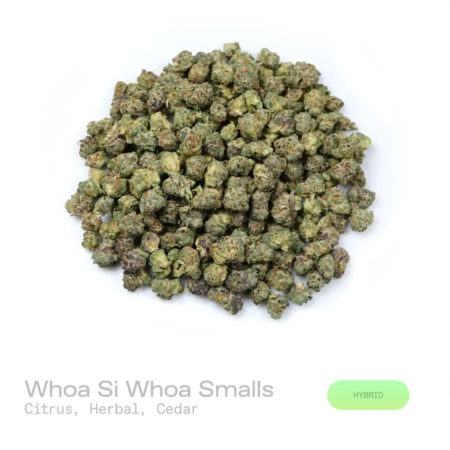 Whoa Si Whoa THCa Flower (Indoor) (Hybrid)