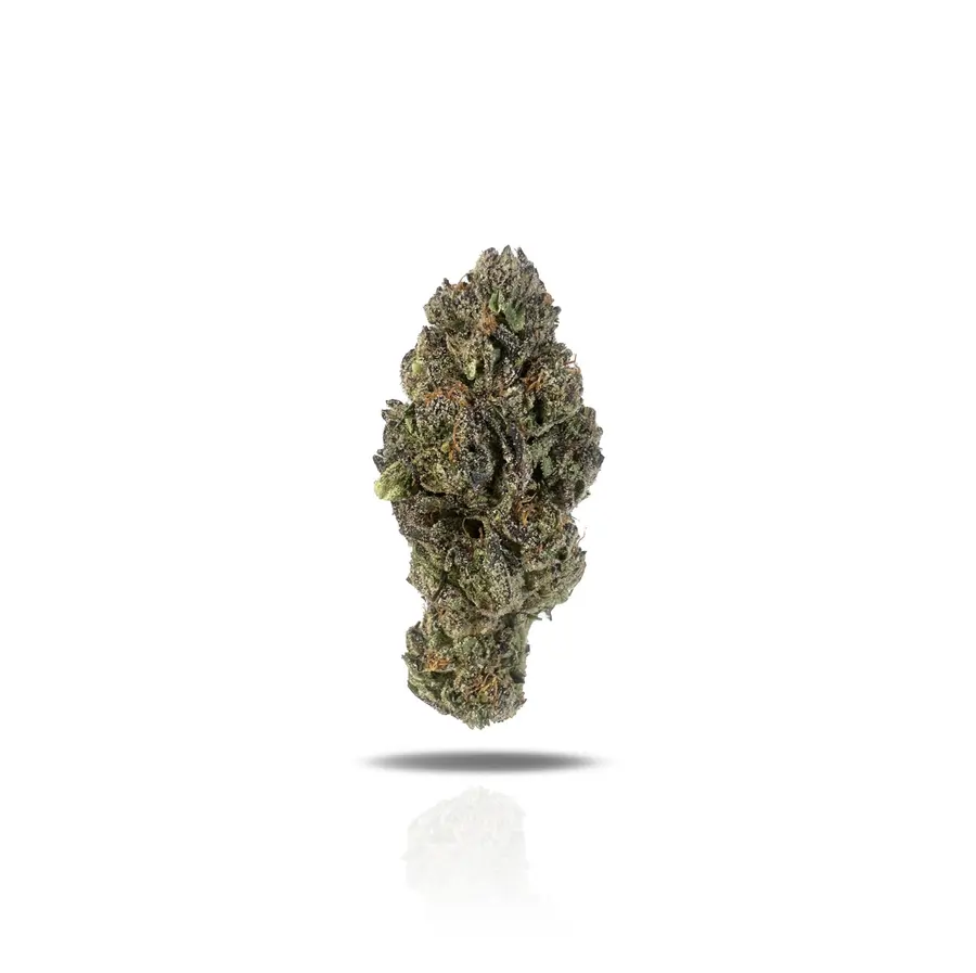 Zerbert THCa Flower (Indoor) (Indica Hybrid)