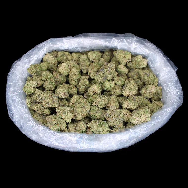Crazy Glue THCA Flower