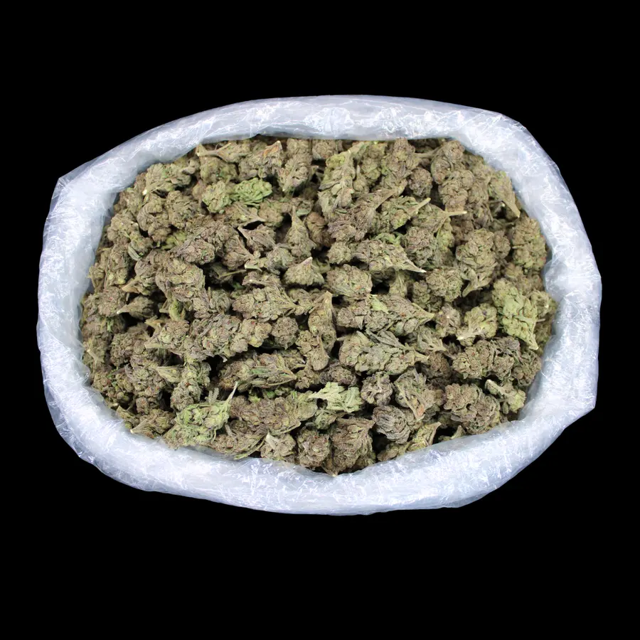 Frosted Gumbo THCA Flower