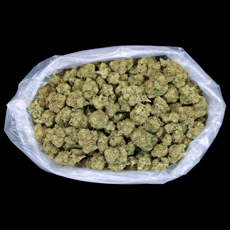 Lemon Cherry Gelato THCA Flower