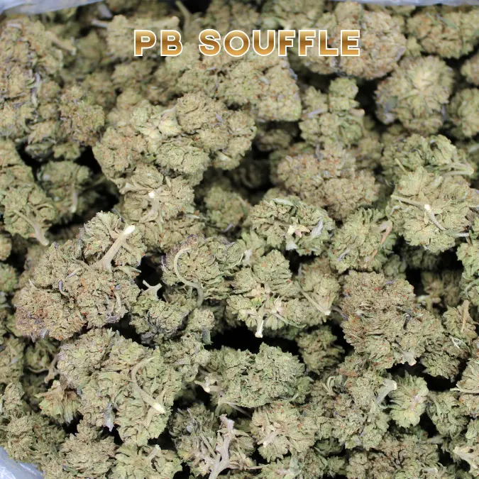 Peanut Butter Souffle THCA Flower