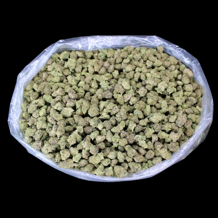 Purple Punch THCA Flower